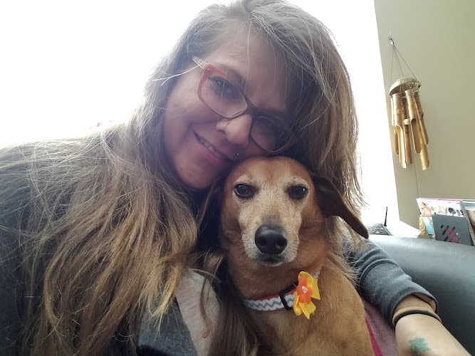 Pet boarding service Custom Canine Salon Spokane Valley