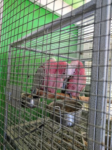 Pet boarding service D D Fish & Pets Santa Ana