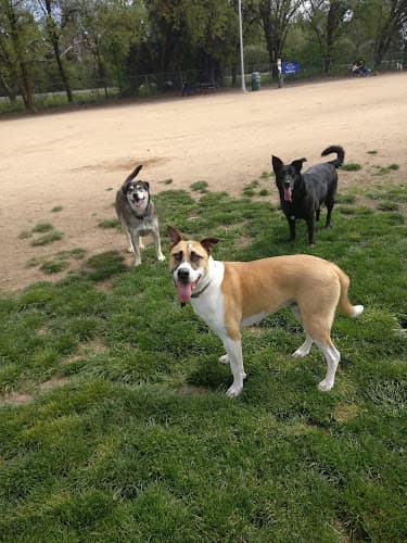 Pet boarding service DeGarmo Park Chico