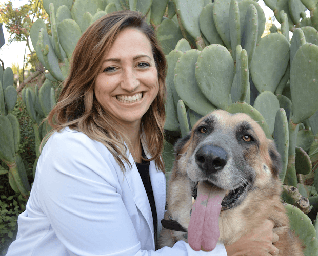 Pet boarding service Dermatology Pet Care Elk Grove