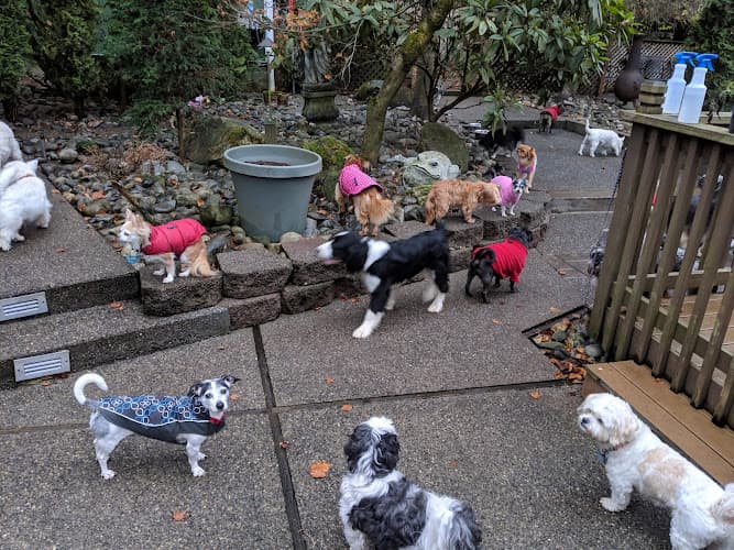 Pet boarding service Doggie Care Resort Kirkland