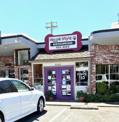 Pet boarding service doggiestylz Sacramento