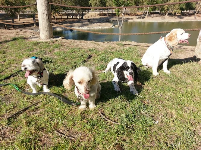 Pet boarding service Doggy Salon Simi Valley