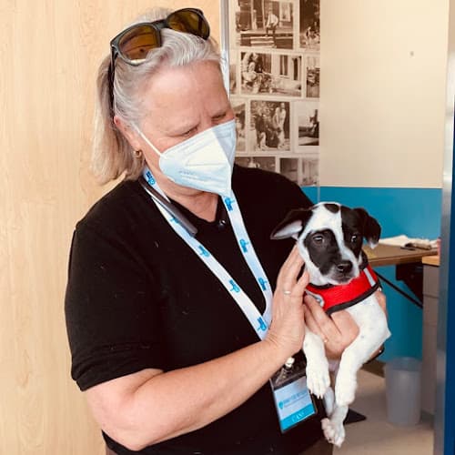 Pet boarding service Doney Coe Pet Clinic Seattle