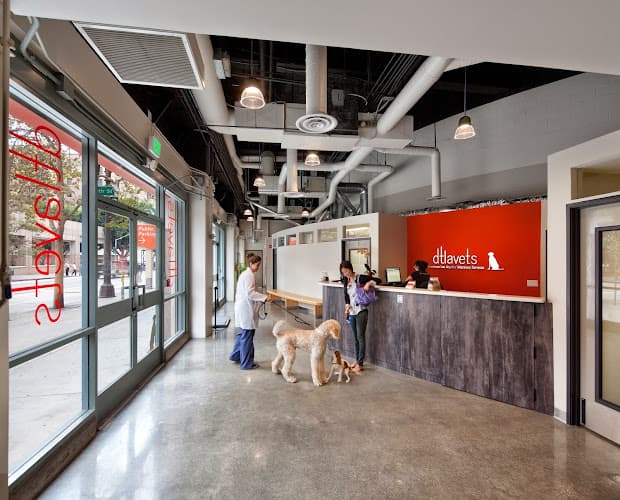 Pet boarding service DTLAvets Los Angeles