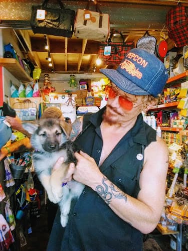 Pet boarding service ECHO BARK INC. Los Angeles