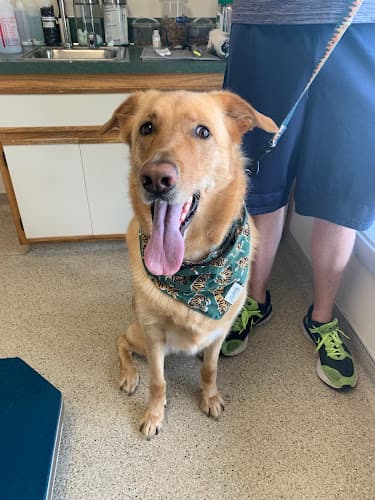 Pet boarding service Edgewood Animal Clinic Eugene