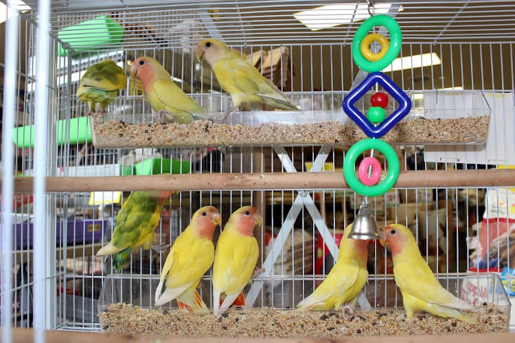 Pet boarding service El Granero Feed & Pet Supplies Richmond