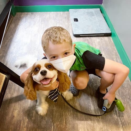 Pet boarding service Emerald K9 Portland