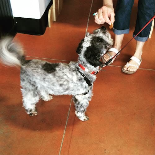 Pet boarding service Exclusive Pet Supply Gresham