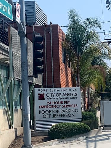Pet boarding service Eye Care for Animals - Culver City Los Angeles