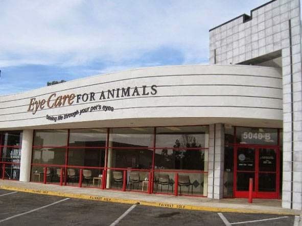 Pet boarding service Eye Care for Animals - San Diego San Diego