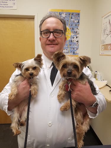 Pet boarding service Fairfield Animal Hospital Fairfield