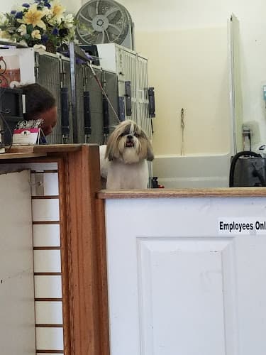 Pet boarding service First Class Pet Salon Escondido