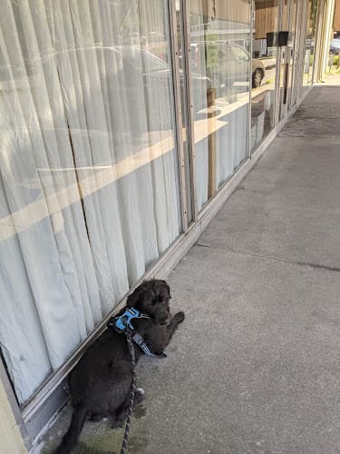 Pet boarding service Four Paws Veterinary Center Seattle