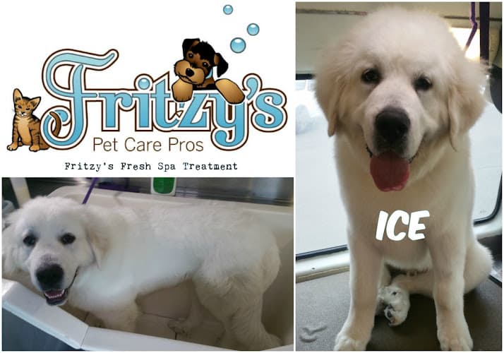 Pet boarding service Fritzy's Pet Care Pros Anaheim