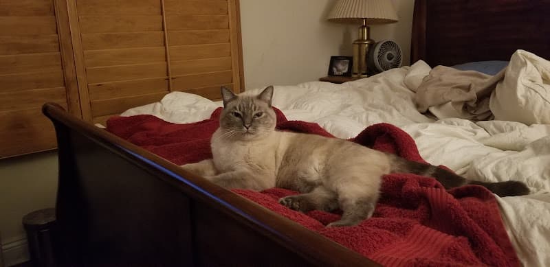 Pet boarding service Fritzy's Pet Care Pros Riverside