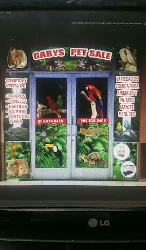 Pet boarding service Gaby's pet sales Fontana