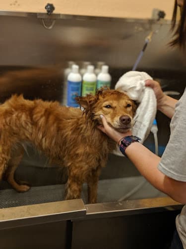 Pet boarding service Ganado Feed & Pet Supplies San Jose