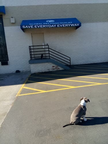 Pet boarding service Global Pet Food Outlet Torrance