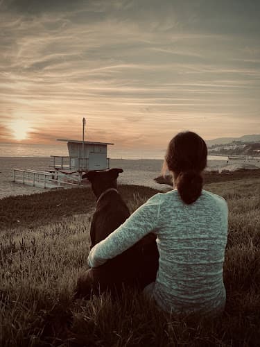 Pet boarding service Gold Coast Mobile Veterinary Care Los Angeles