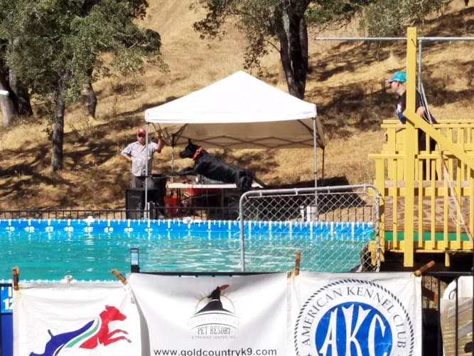 Pet boarding service Gold Country Pet Resort & Training Sacramento