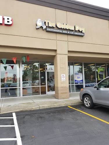 Pet boarding service Golden Dog Vancouver