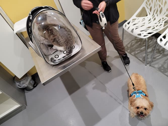 Pet boarding service Grand Park Animal Hospital Los Angeles