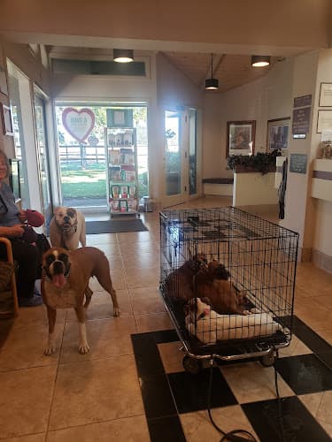 Pet boarding service Grantline Veterinary Hospital Elk Grove