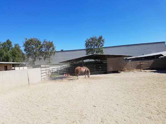 Pet boarding service Greatheart Stables Burbank