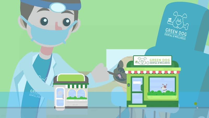 Pet boarding service Green Dog Dental & Wellness Los Angeles