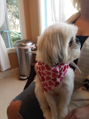 Pet boarding service H & H Veterinary Care Eugene