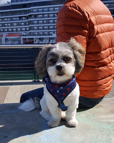 Pet boarding service Happy Tails to You Kennel, LLC Gresham