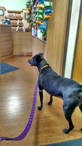 Pet boarding service Hawthorne Veterinary Clinic Portland