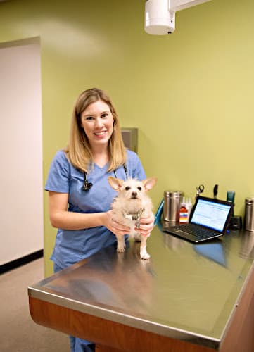 Pet boarding service Heartfelt Veterinary Hospital Portland