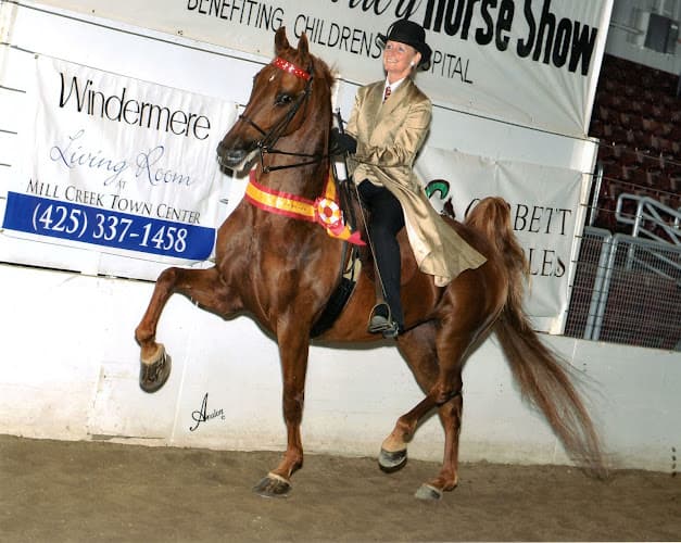 Pet boarding service Hepner-Hart Horse Training Stables/GlenMar Horse Camp for Kids Hillsboro