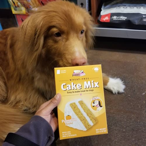 Pet boarding service Hip Hound Portland