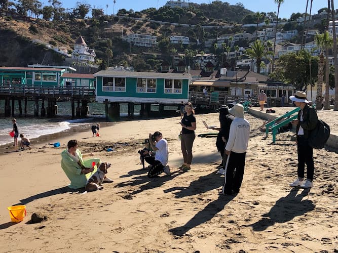 Pet boarding service Hollywood Paws Los Angeles