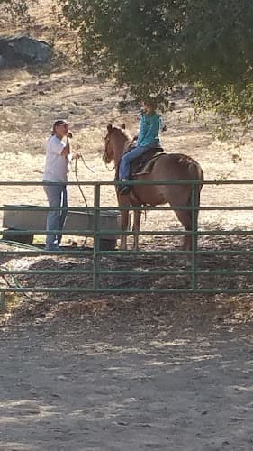 Pet boarding service Hoof and Paw Pet Sitting Fresno