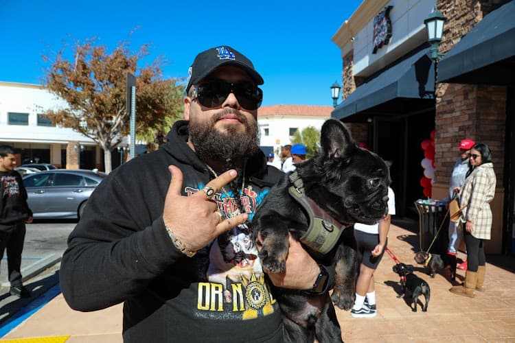 Pet boarding service Hotshot Petshop Palmdale