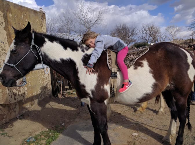 Pet boarding service HRR Stables Bakersfield