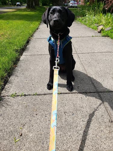 Pet boarding service Hunter Veterinary Clinic Spokane