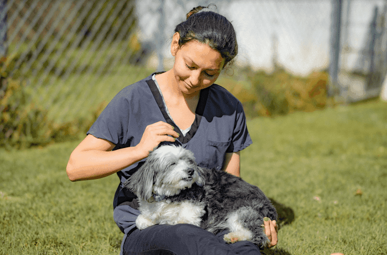 Pet boarding service Huntington Beach Veterinary Hospital Huntington Beach