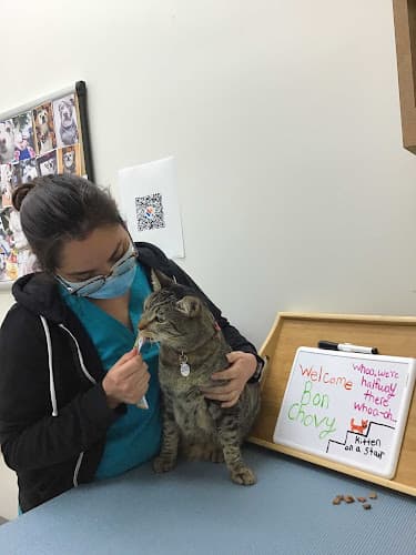 Pet boarding service Irvine Valley Veterinary Hospital Irvine