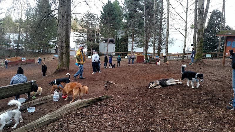Pet boarding service Jasper's Dog Park Kirkland