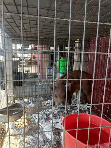 Pet boarding service Jesse's Pet & Feed Store Modesto