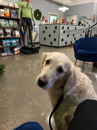 Pet boarding service Jet City Animal Clinic Seattle