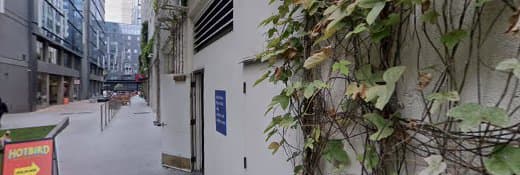 Pet boarding service Kacie's Pet Sitting San Francisco