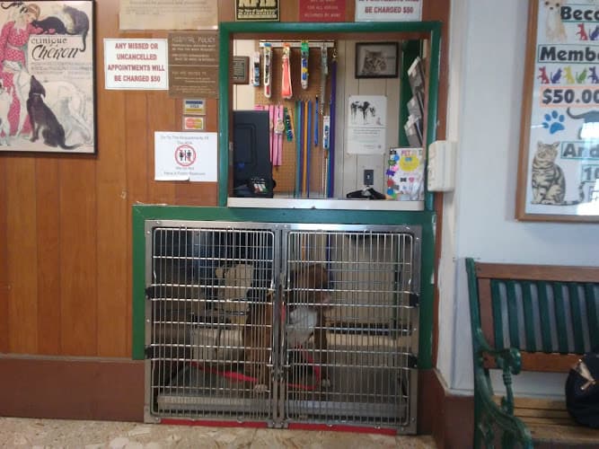 Pet boarding service Kings Canyon Veterinary Foundation 501(c)3 Fresno