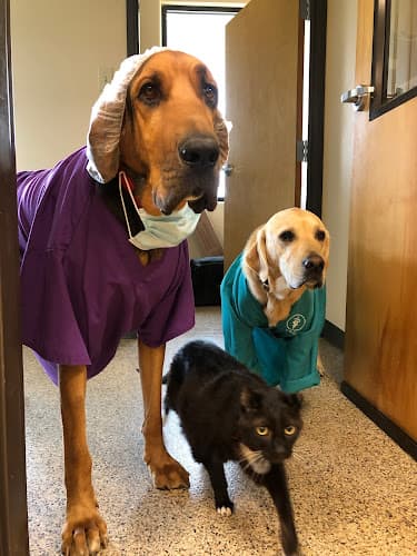 Pet boarding service La Paw Animal Hospital Bend